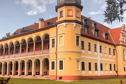 pałac - Pałac Krobielowice - zdjęcie 5