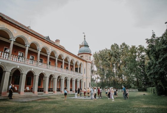 pałac - Pałac Krobielowice - Usługi - zdjęcie 3