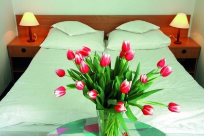 hotel *** - Hotel Konradówka Wellness & SPA - zdjęcie 2