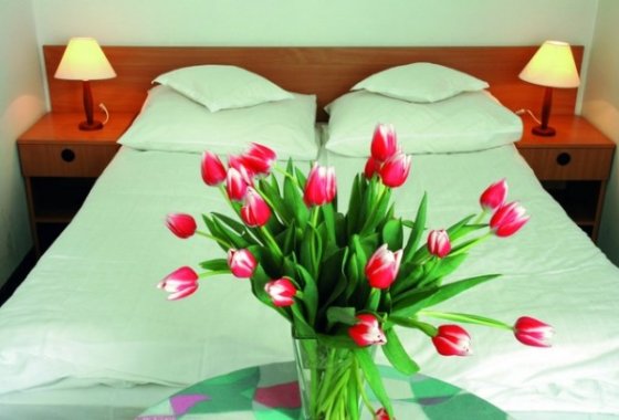 hotel *** - Hotel Konradówka Wellness & SPA - Pokoje - zdjęcie 1