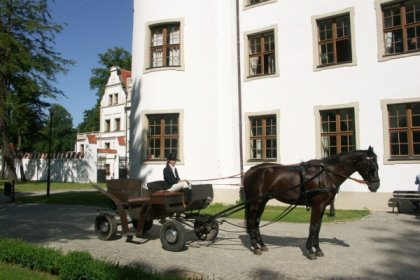 hotel *** - Hotel Podewils *** – Zamek Rycerski - zdjęcie 10
