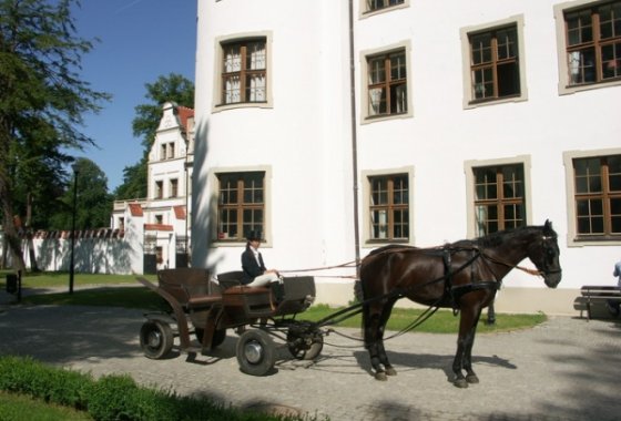 hotel *** - Hotel Podewils *** – Zamek Rycerski - Usługi - zdjęcie 2