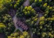 inny - Gospodarstwo Agroturystyczne Dolina Bobr&oacute;w  - zdjęcie 1