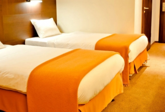 hotel - Hotel DeSilva Warszawa Piaseczno - Pokoje - zdjęcie 1