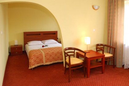 hotel *** - Hotel U Witaszka*** - zdjęcie 9