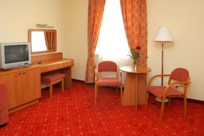 hotel *** - Hotel U Witaszka*** - zdjęcie 7