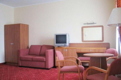 hotel *** - Hotel U Witaszka*** - zdjęcie 11