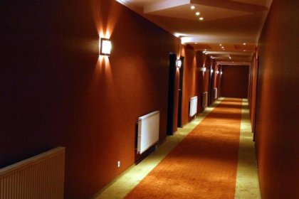 hotel *** - Hotel Kamiza*** - zdjęcie 7