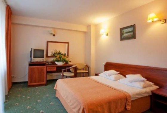 hotel *** - Hotel Witkowski*** - Pokoje - zdjęcie 1