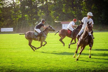 obiekt konferencyjny - Warsaw Polo Club - zdjęcie 6