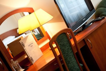 hotel *** - Restauracja & Hotel *** Złoty Lin - zdjęcie 10