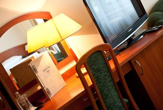 hotel *** - Restauracja & Hotel *** Złoty Lin - Pokoje - zdjęcie 2