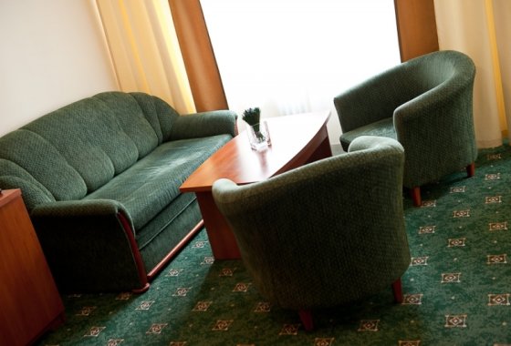hotel *** - Restauracja & Hotel *** Złoty Lin - Pokoje - zdjęcie 3