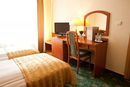 hotel *** - Restauracja & Hotel *** Złoty Lin - zdjęcie 8