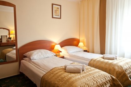 hotel *** - Restauracja & Hotel *** Złoty Lin - zdjęcie 7