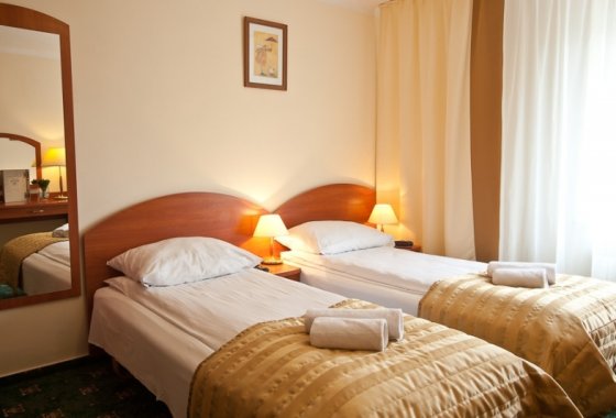 hotel *** - Restauracja & Hotel *** Złoty Lin - Pokoje - zdjęcie 5