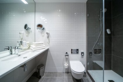 hotel **** - Hotel HP Park Plaza - zdjęcie 29