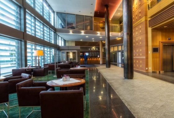 hotel **** - Hotel HP Park Plaza - Usługi - zdjęcie 6
