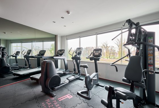 hotel **** - Hotel HP Park Plaza - Usługi - zdjęcie 1