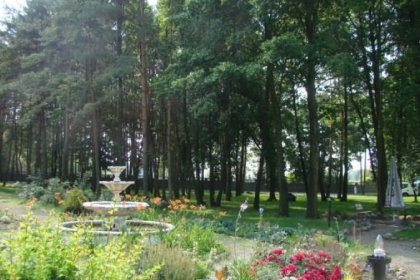 hotel - Hotel Deer Park Resort - zdjęcie 8