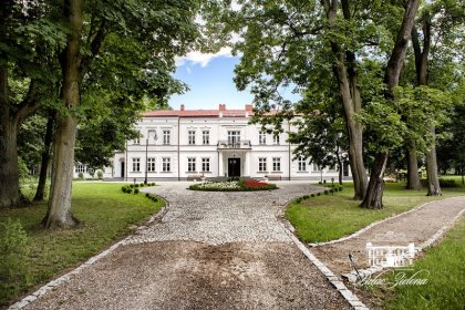 pałac - Pałac Zielona - zdjęcie 2