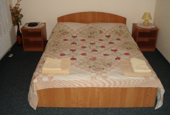 hotel - Hotel Nad Narwią - Pokoje - zdjęcie 2