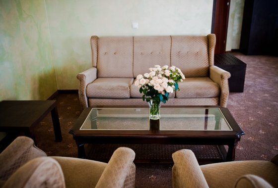 hotel *** - Hotel Oleńka*** - Pokoje - zdjęcie 1