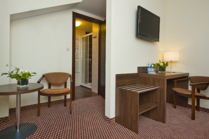hotel *** - Hotel Cztery Brzozy - zdjęcie 4