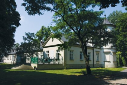 pałac - Pałac Lasotów - zdjęcie 2