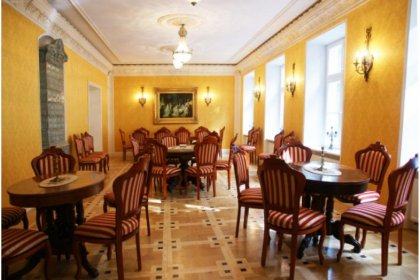 pałac - Pałac Lasotów - zdjęcie 8