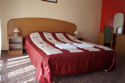 hotel **** - Pensjonat Wioletta - zdjęcie 9