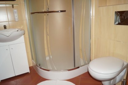 hotel **** - Pensjonat Wioletta - zdjęcie 11