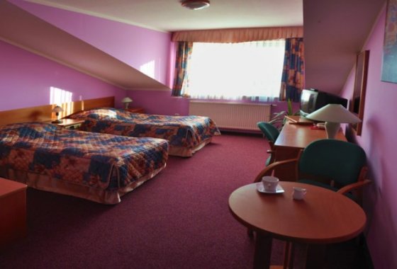 hotel - Hotel Orlik - Pokoje - zdjęcie 5