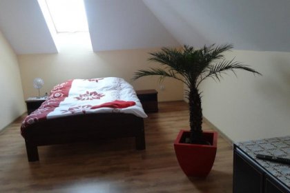 hotel - Hotel Dworek Marzenie - zdjęcie 12