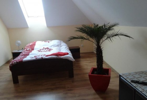 hotel - Hotel Dworek Marzenie - Pokoje - zdjęcie 1