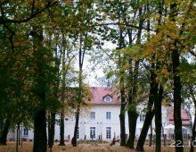 Pałac Kobylin