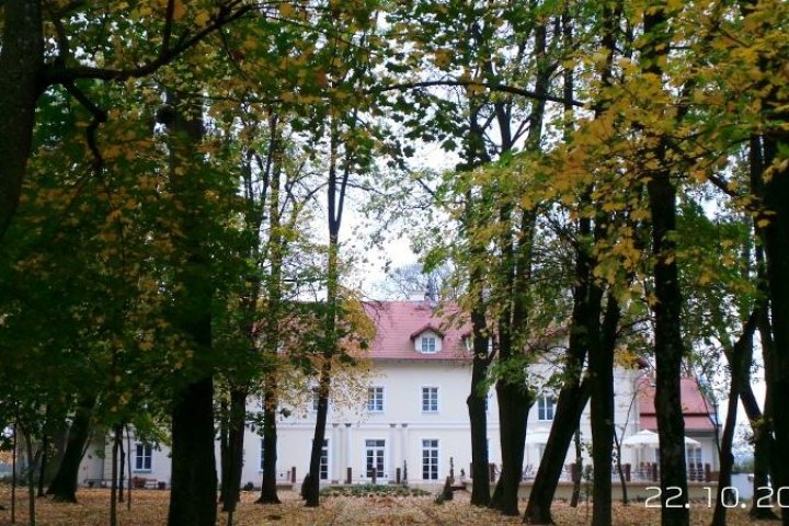 Pałac Kobylin
