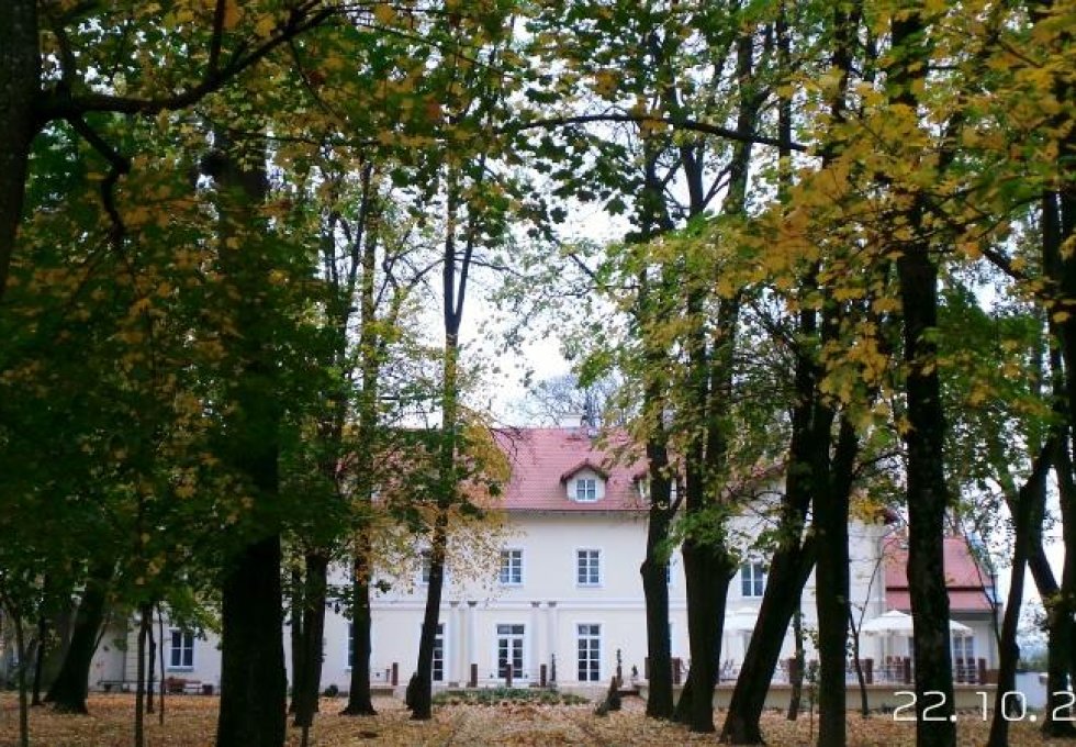 pałac - Pałac Kobylin