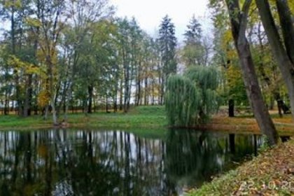 pałac - Pałac Kobylin - zdjęcie 11