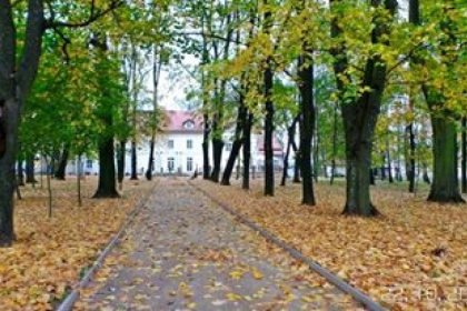 pałac - Pałac Kobylin - zdjęcie 9