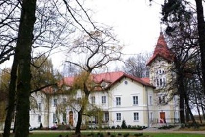 pałac - Pałac Kobylin - zdjęcie 7