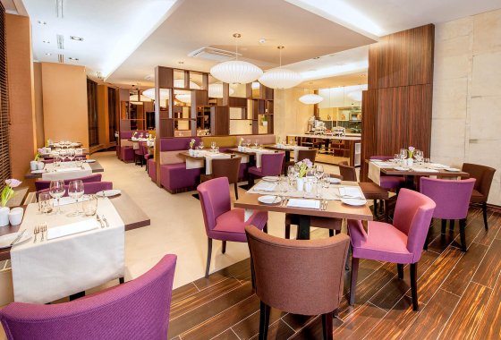 hotel **** - Hotel DeSilva Premium Opole - Usługi - zdjęcie 1