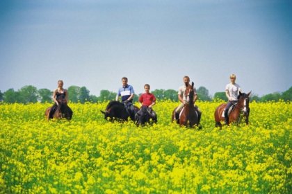 dworek - Dworek nad Regą - zdjęcie 7