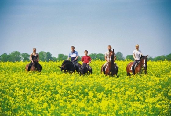 dworek - Dworek nad Regą - Usługi - zdjęcie 5
