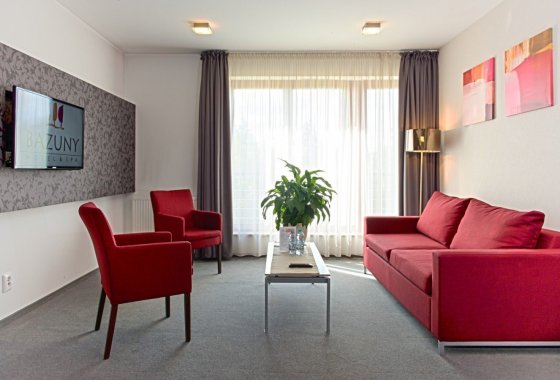 hotel *** - Bazuny Hotel*** & SPA - Pokoje - zdjęcie 8
