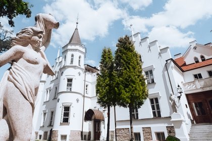 hotel ***** - Pałac Sulisław - zdjęcie 2