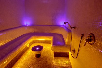 hotel ***** - Pałac Sulisław - zdjęcie 27