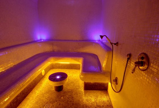 hotel ***** - Pałac Sulisław - Usługi - zdjęcie 4
