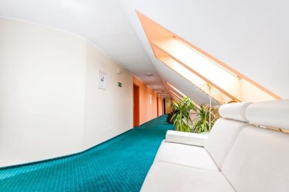 hotel *** - Hotel Court Wellness & Spa*** - zdjęcie 3