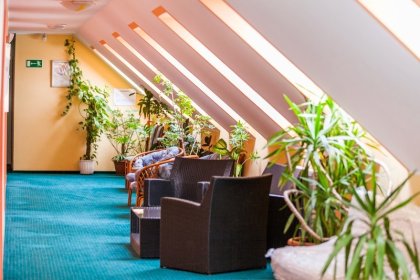 hotel *** - Hotel Court Wellness & Spa*** - zdjęcie 4